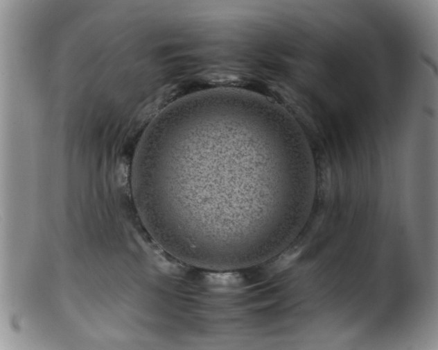 X0000099470281200805161118