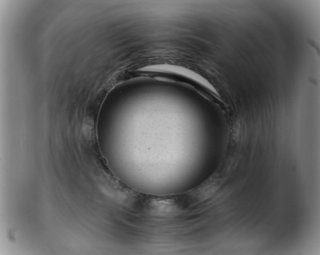 X0000099470283200805161118