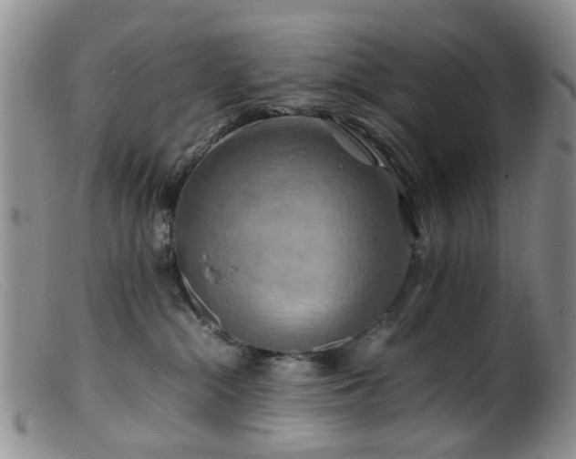 X0000099470284200805161118