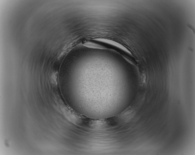 X0000099470286200805161118