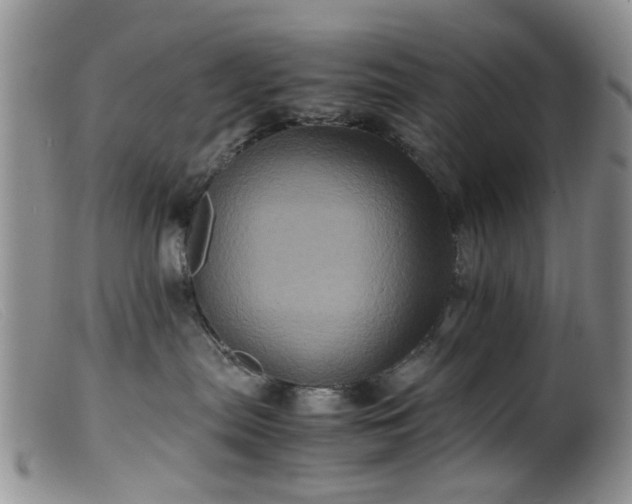 X0000099470287200805161118