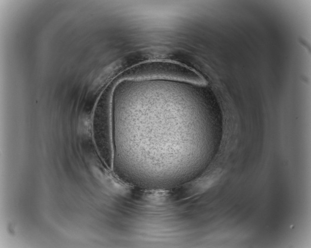 X0000099470288200805161118