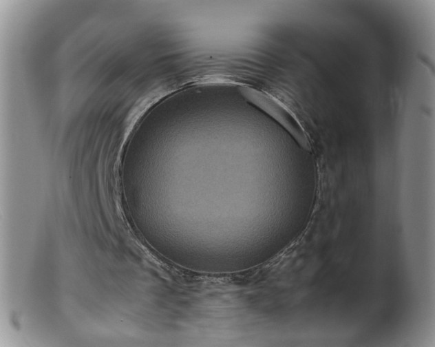 X0000099470289200805161118