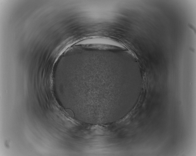 X0000099470290200805161118