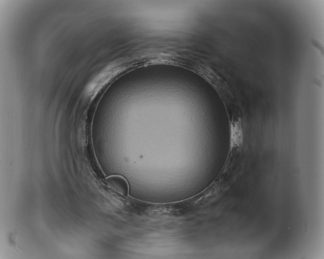 X0000099470291200805161118