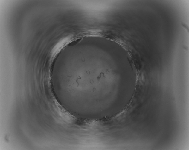 X0000099470293200805161118