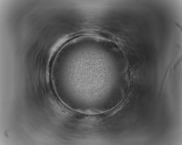 X0000099470294200805161118