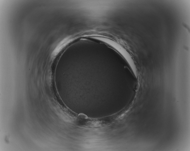 X0000099470295200805161118