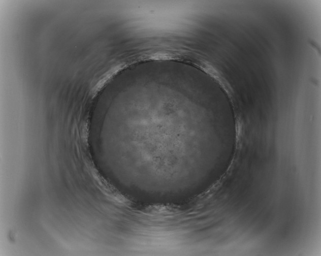 X0000099470297200805161117