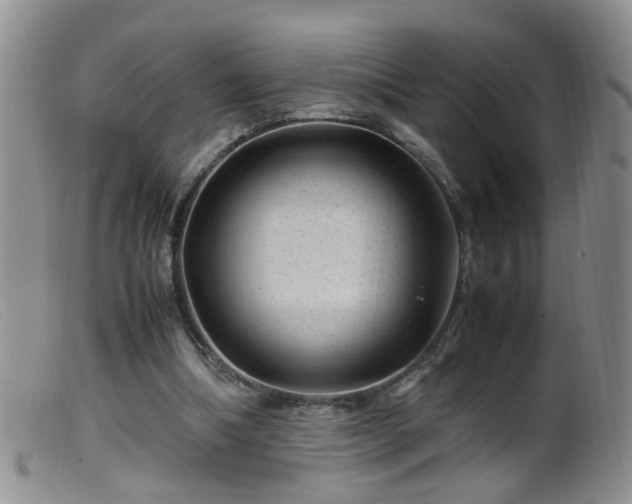 X0000099470298200805161117