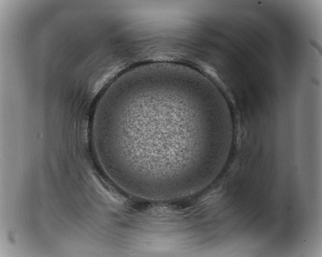 X0000099470299200805161117