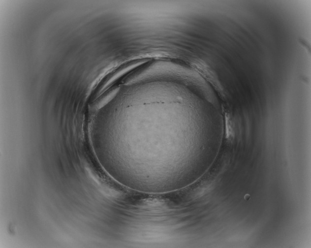 X0000099470300200805161117