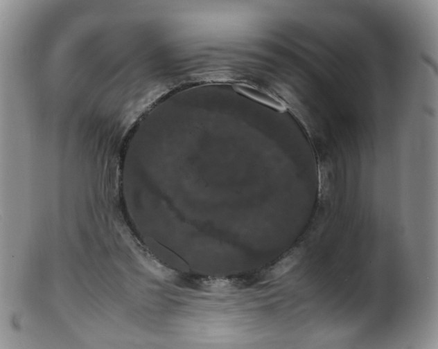 X0000099470301200805161117