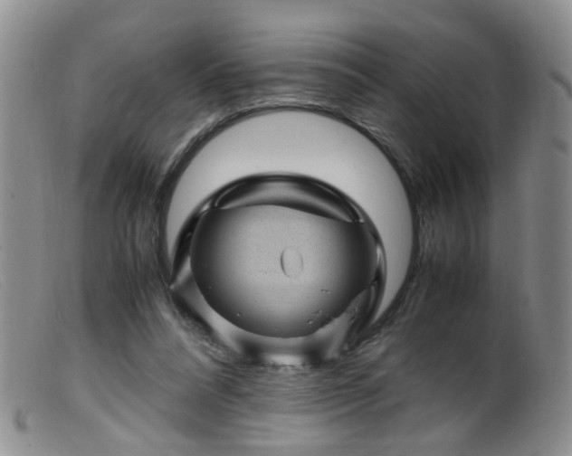 X0000099470304200805161117