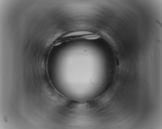 X0000099470306200805161117