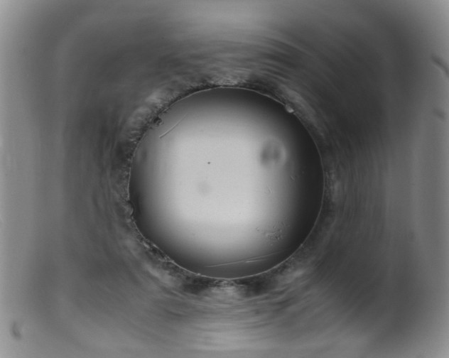 X0000099470307200805161117