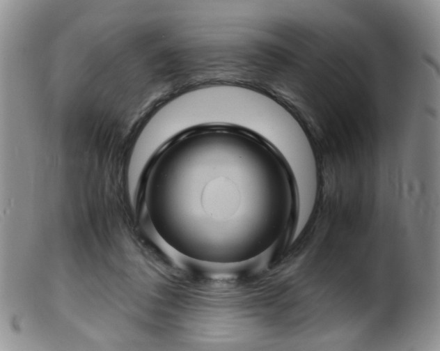 X0000099470308200805161117