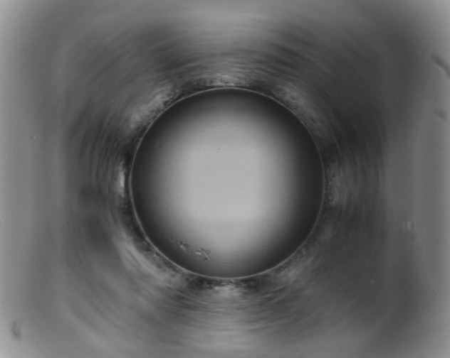 X0000099470310200805161117