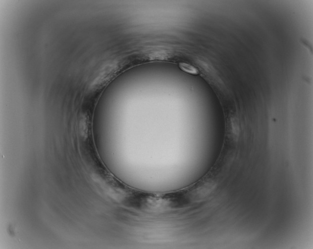 X0000099470311200805161117