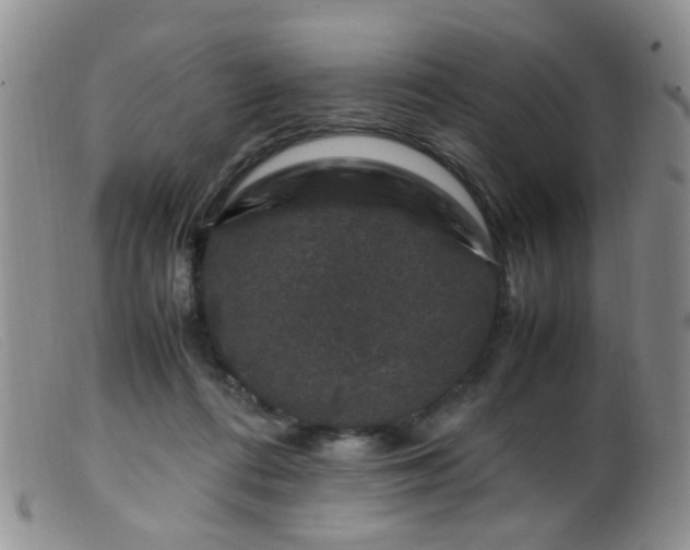 X0000099470312200805161117