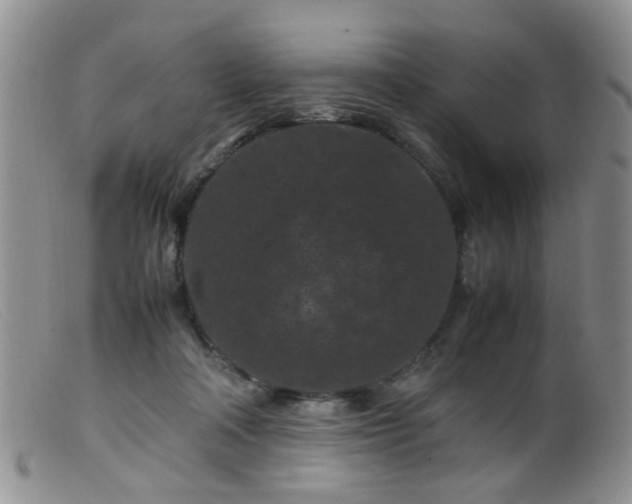 X0000099470314200805161117