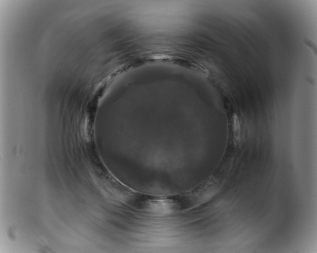 X0000099470316200805161117