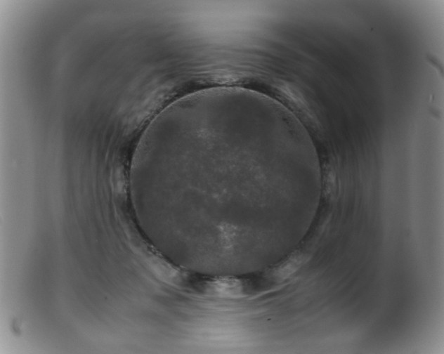 X0000099470317200805161117