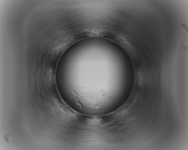 X0000099470318200805161117