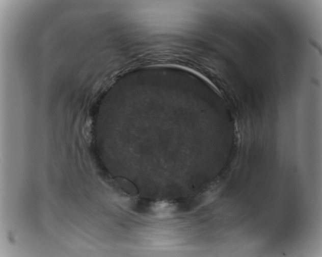X0000099470319200805161117