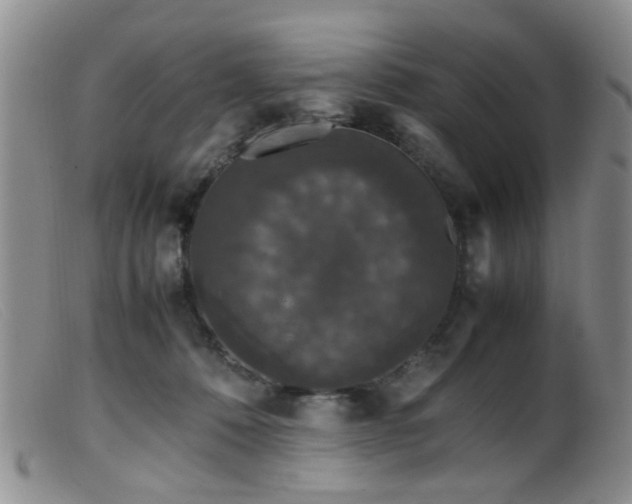 X0000099470320200805161117