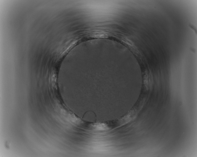 X0000099470322200805161117