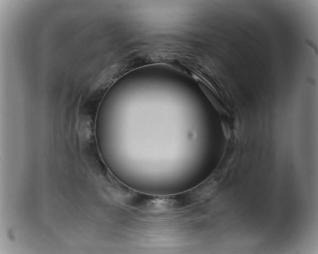 X0000099470323200805161117