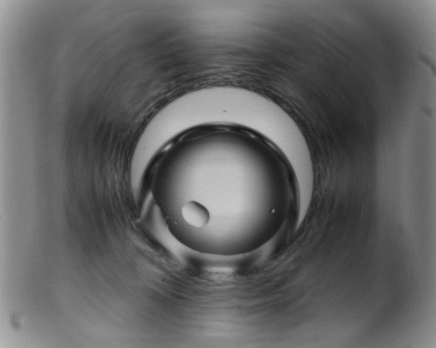 X0000099470324200805161117