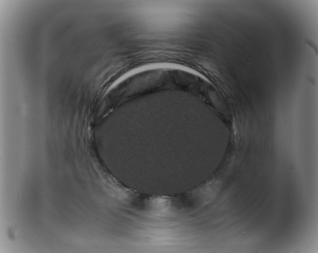 X0000099470325200805161117