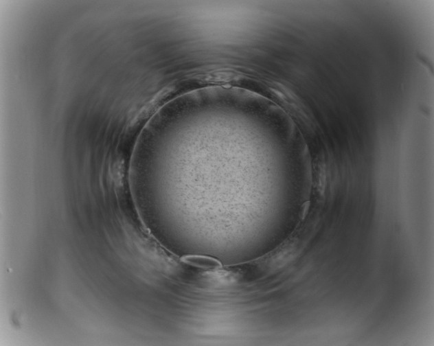 X0000099470326200805161117