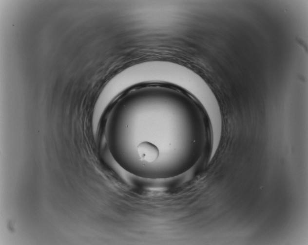 X0000099470327200805161117