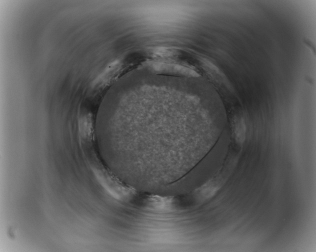 X0000099470328200805161117