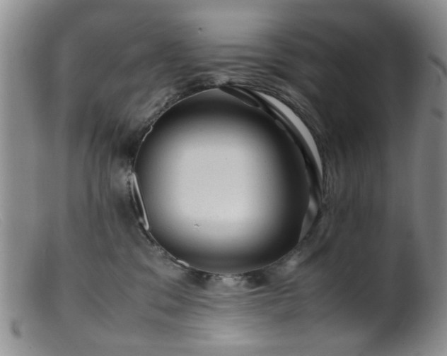 X0000099470329200805161117