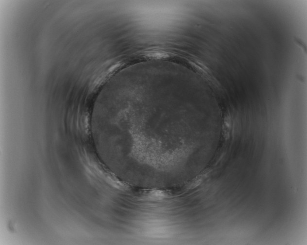 X0000099470330200805161117