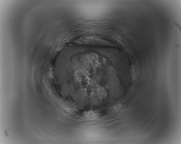 X0000099470331200805161117