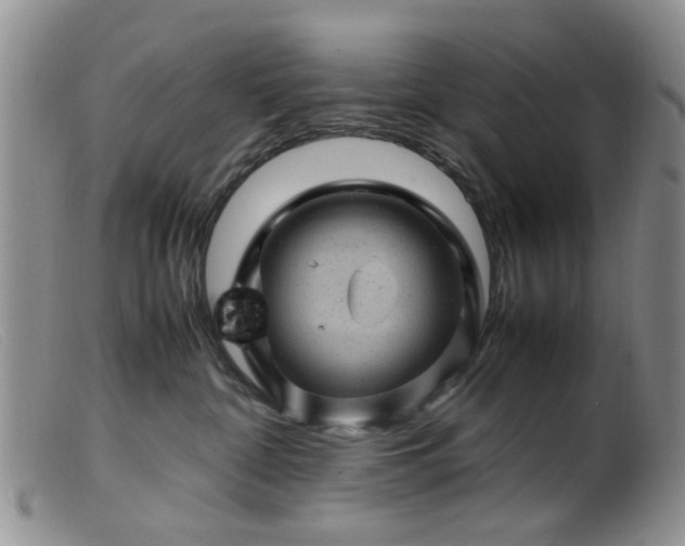 X0000099470332200805161117