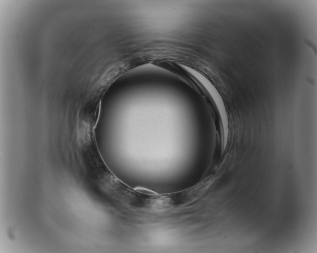 X0000099470333200805161117