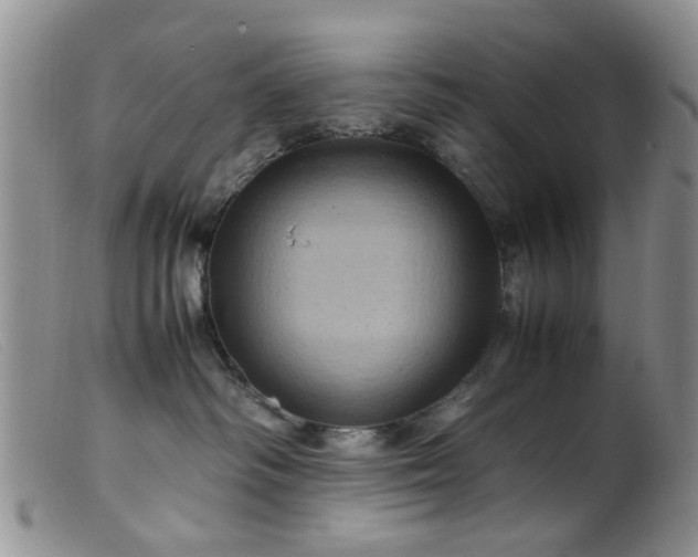 X0000099470334200805161117