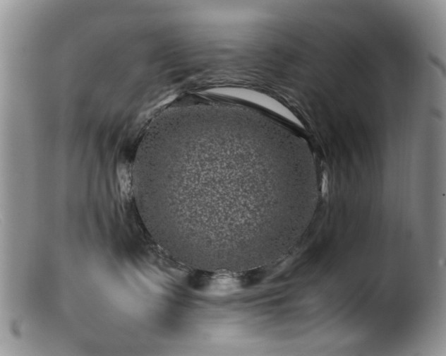 X0000099470335200805161117