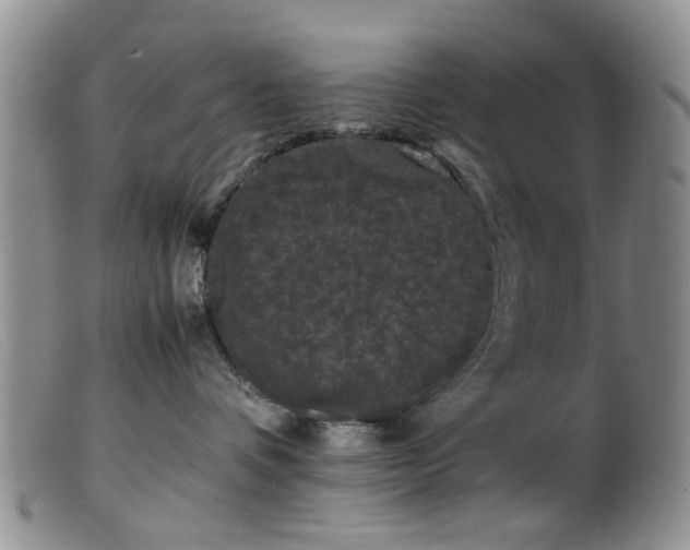 X0000099470336200805161117