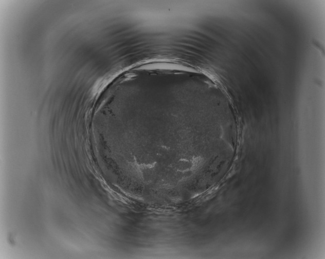 X0000099470337200805161116