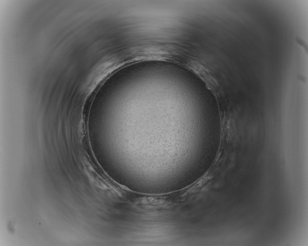 X0000099470338200805161116