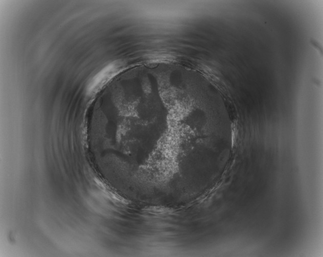 X0000099470339200805161116