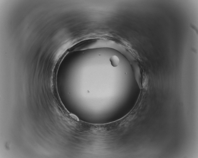 X0000099470340200805161116