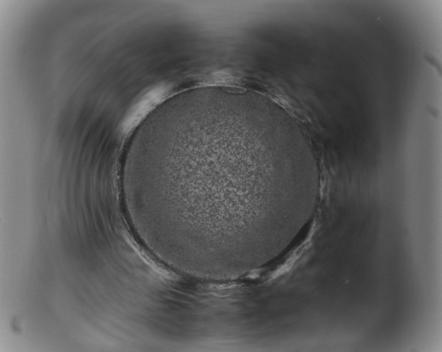 X0000099470341200805161116